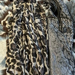 Animal Print Scarves